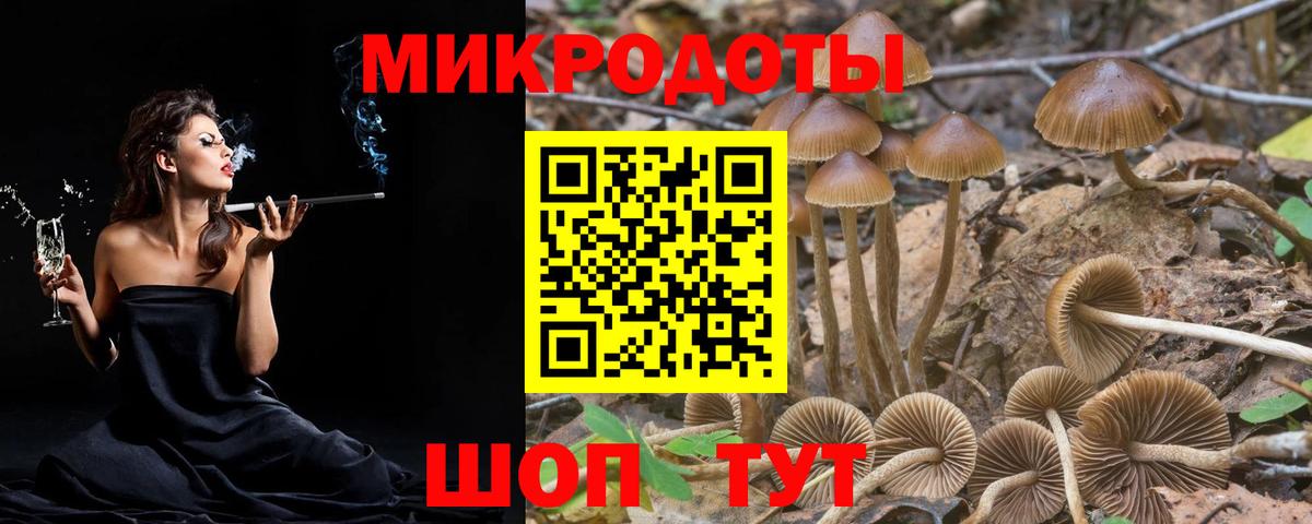 Гай  Псилоцибиновые грибы Magic Shrooms  Вход с VPN 